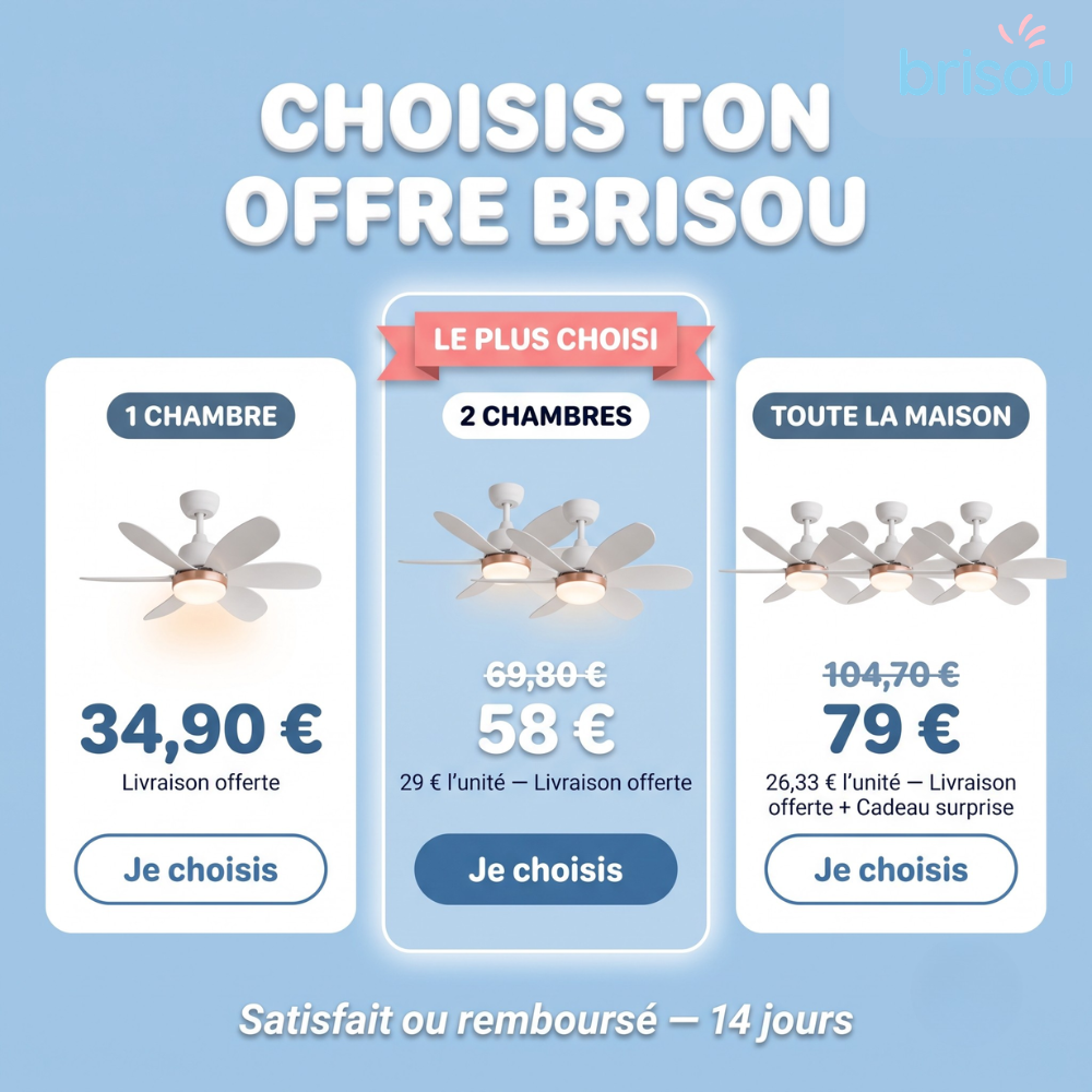 Brisou - Ventilateur de plafond