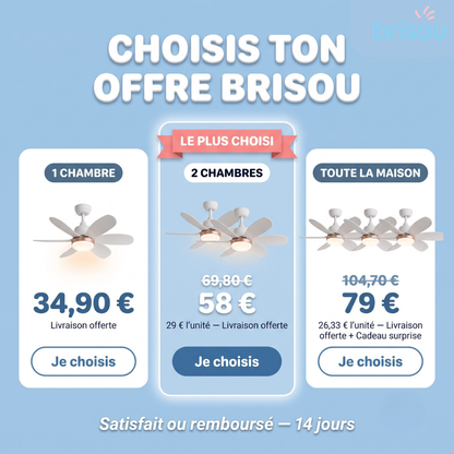 Brisou - Ventilateur de plafond