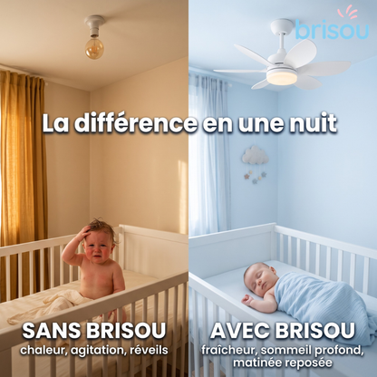 Brisou - Ventilateur de plafond