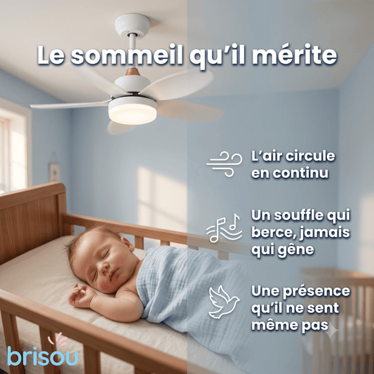 Brisou - Ventilateur de plafond