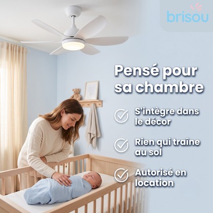 Brisou - Ventilateur de plafond