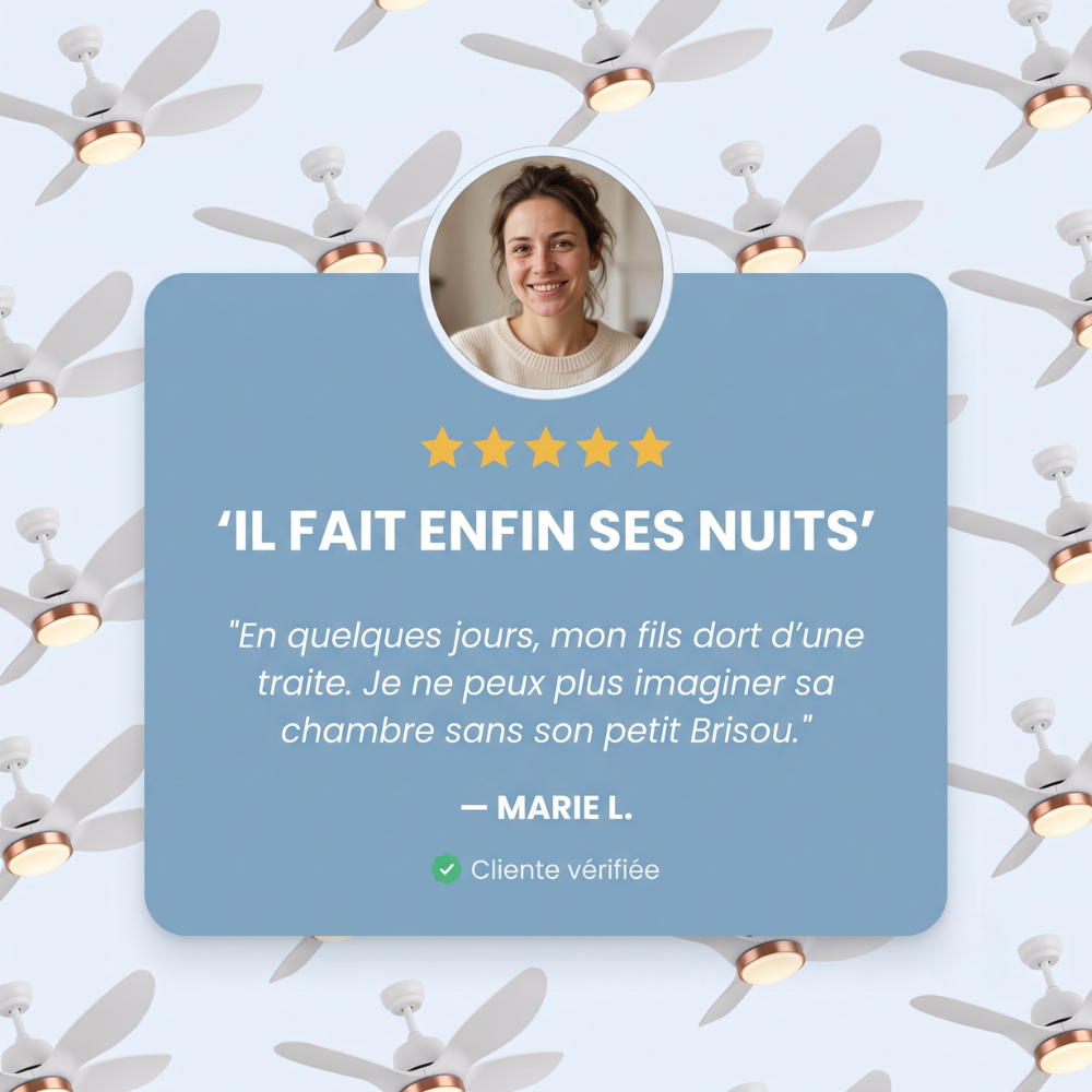 Brisou - Ventilateur de plafond