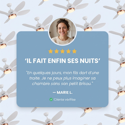 Brisou - Ventilateur de plafond